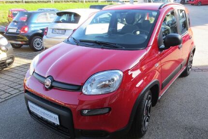 Fiat Panda Gebrauchtwagen