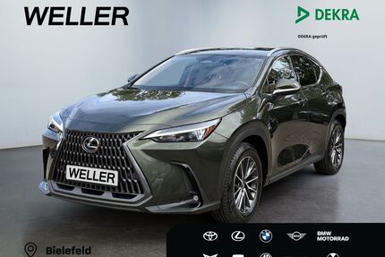 Lexus NX 450h Gebrauchtwagen
