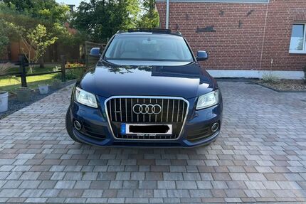 Audi Q5 Gebrauchtwagen