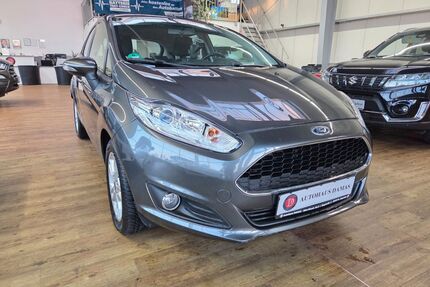 Ford Fiesta Gebrauchtwagen