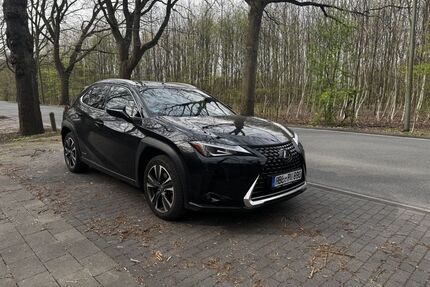Lexus UX Gebrauchtwagen