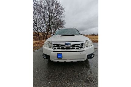 Subaru Forester Gebrauchtwagen