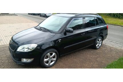 Skoda Fabia Gebrauchtwagen