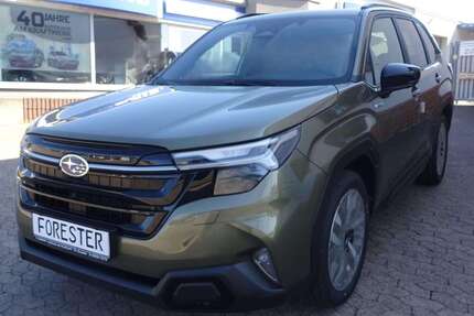 Subaru Forester Gebrauchtwagen