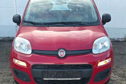 Fiat New Panda Gebrauchtwagen
