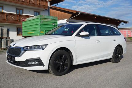 Skoda Octavia Gebrauchtwagen