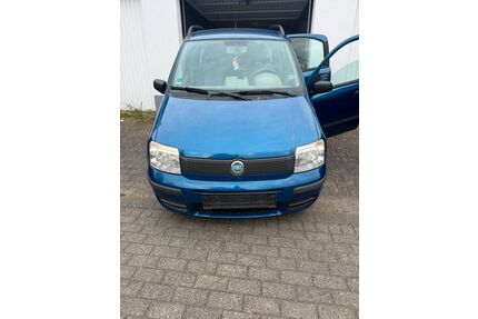 Fiat Panda Gebrauchtwagen