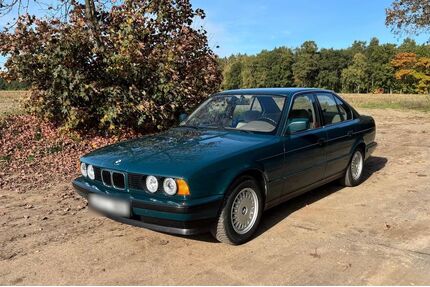 BMW 520 Gebrauchtwagen