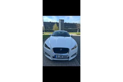 Jaguar XF Gebrauchtwagen