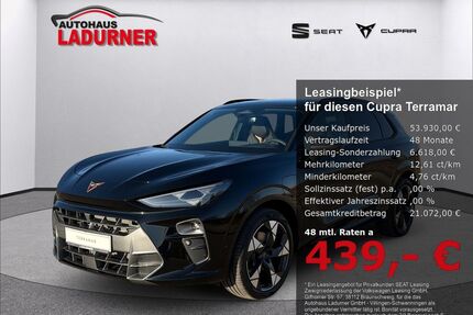 Cupra Terramar Gebrauchtwagen