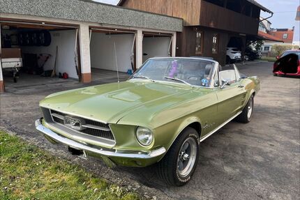 Ford Mustang Gebrauchtwagen