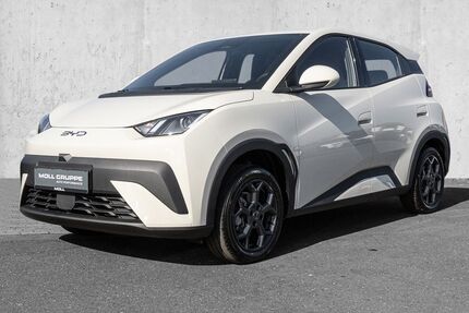 BYD DOLPHIN Gebrauchtwagen