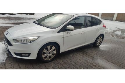 Ford Focus Gebrauchtwagen