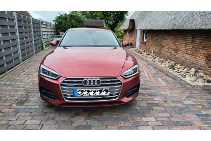 Audi A5 Gebrauchtwagen