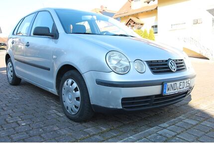 VW Polo Gebrauchtwagen