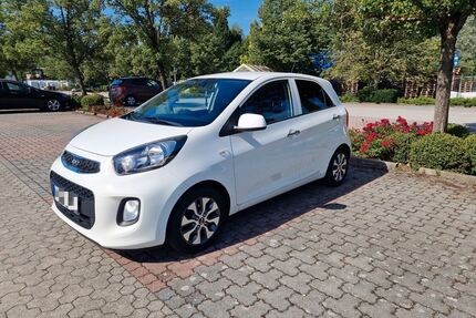 Kia Picanto Gebrauchtwagen