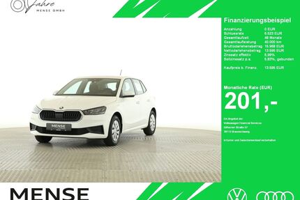 Skoda Fabia Gebrauchtwagen
