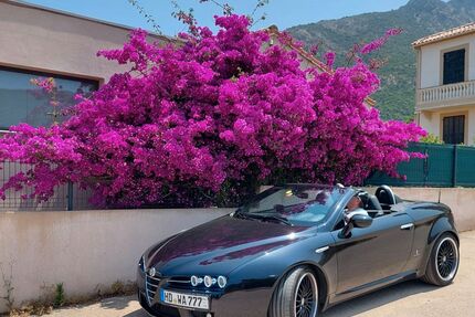 Alfa Romeo Spider Gebrauchtwagen