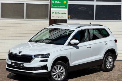 Skoda Karoq Gebrauchtwagen