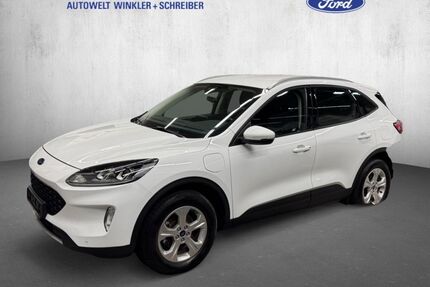 Ford Kuga Gebrauchtwagen