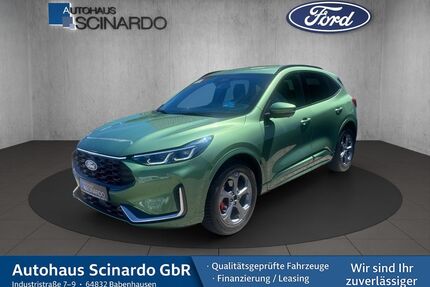 Ford Kuga Gebrauchtwagen