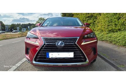 Lexus NX 300 Gebrauchtwagen