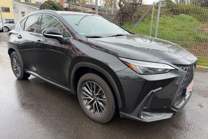Lexus NX 350h Gebrauchtwagen
