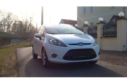 Ford Fiesta Gebrauchtwagen