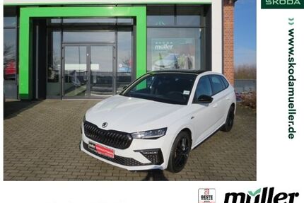 Skoda Scala Gebrauchtwagen