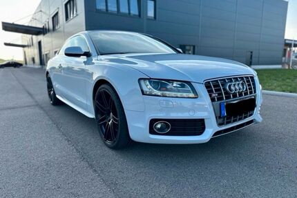 Audi S5 Gebrauchtwagen