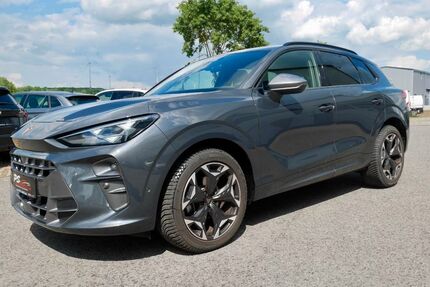 Cupra Terramar Gebrauchtwagen