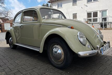 VW Käfer Gebrauchtwagen