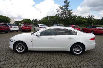 Jaguar XF Gebrauchtwagen