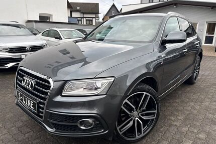 Audi Q5 Gebrauchtwagen