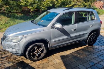 VW Tiguan Gebrauchtwagen