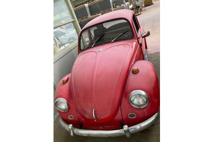 VW Käfer Gebrauchtwagen