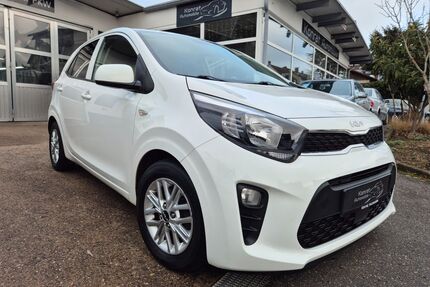 Kia Picanto Gebrauchtwagen