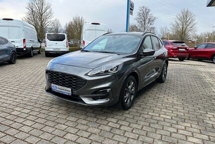 Ford Kuga Gebrauchtwagen