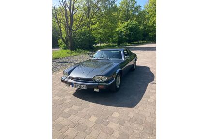 Jaguar XJS Gebrauchtwagen
