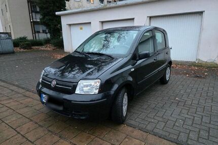 Fiat Panda Gebrauchtwagen