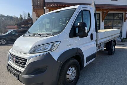 Fiat Ducato Gebrauchtwagen