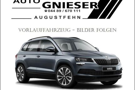 Skoda Karoq Gebrauchtwagen