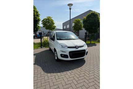 Fiat New Panda Gebrauchtwagen
