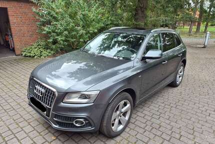 Audi Q5 Gebrauchtwagen