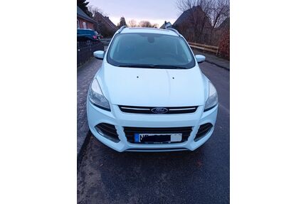 Ford Kuga Gebrauchtwagen