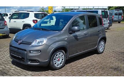 Fiat Panda Gebrauchtwagen
