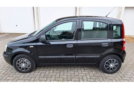 Fiat Panda Gebrauchtwagen