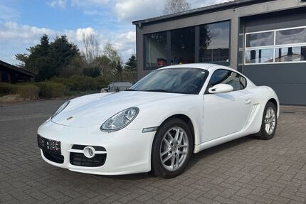 Porsche Cayman Gebrauchtwagen