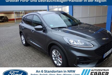 Ford Kuga Gebrauchtwagen
