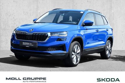 Skoda Karoq Gebrauchtwagen